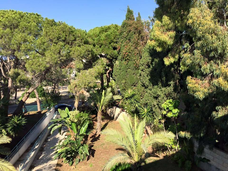 Carmel Mountain Motel Haifa Exteriör bild